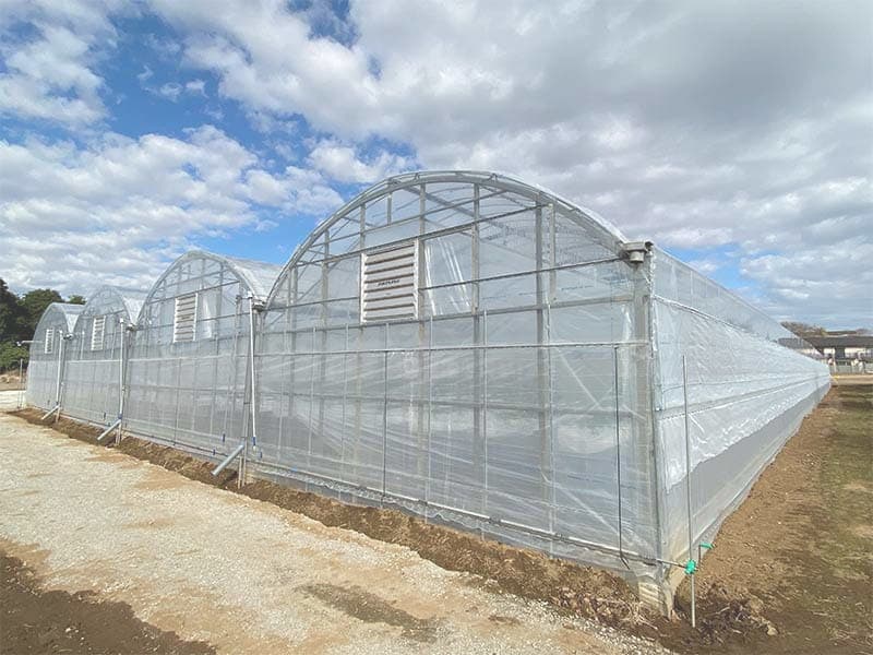 えびす苺園のハウス外観