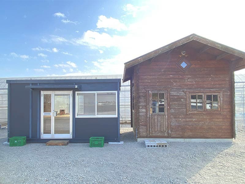 花が咲き始めました