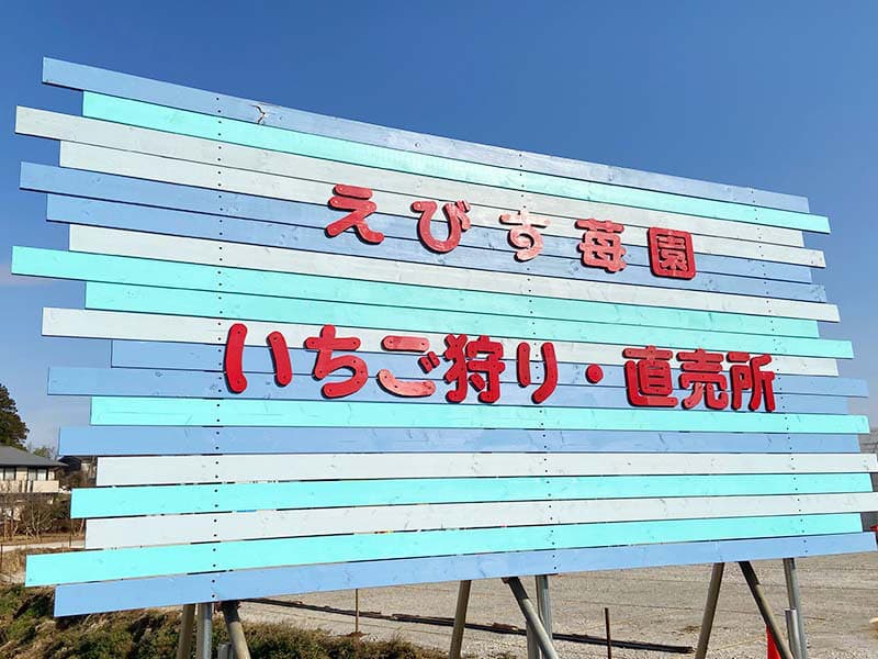 花が咲き始めました